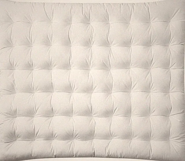 Rainha Cushion Tufted College Headboard - White Velvet